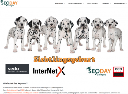 SEODAY-SIEBTLINGSGEBURT-1024x754